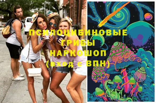 соль курить ск Няндома