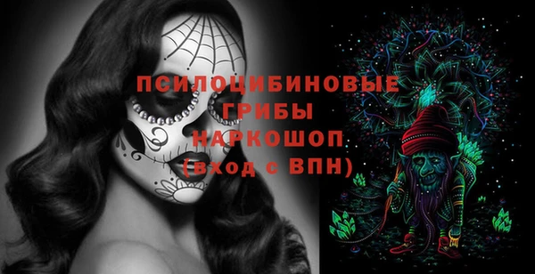 mdma Новодвинск