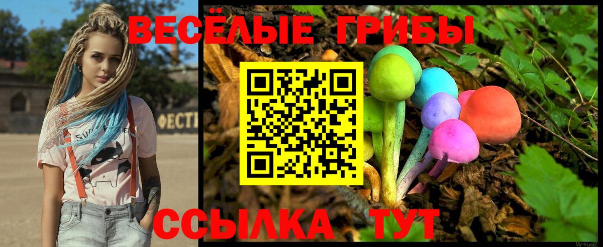 Галлюциногенные грибы Psilocybe  Кондопога  Псилоцибиновые грибы Cubensis 