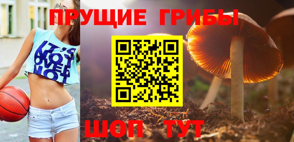 Псилоцибиновые грибы Magic Shrooms Кондопога