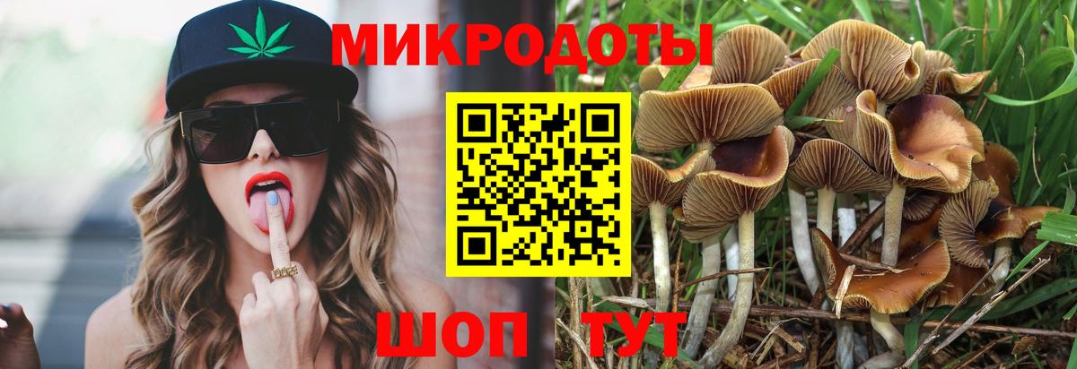 Псилоцибиновые грибы MAGIC MUSHROOMS  Вход с VPN  Кондопога 